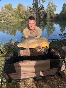 Mirror Carp