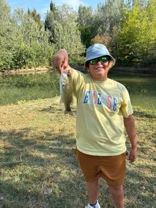 Largemouth Bass
