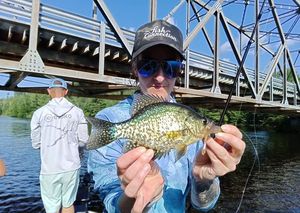 Black Crappie