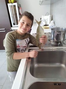 Salema