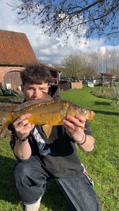 Mirror Carp