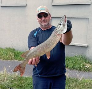 Northern Pike