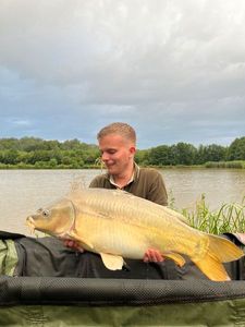 Mirror Carp