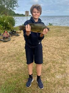 Largemouth Bass