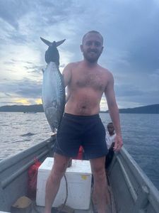 Albacore