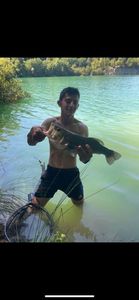 Largemouth Bass