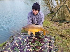Mirror Carp