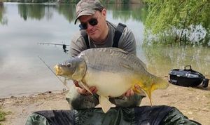 Mirror Carp