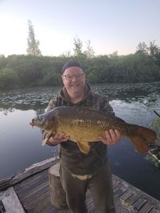 Common Carp