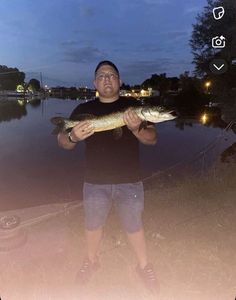 Northern Pike