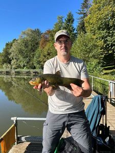 Tench