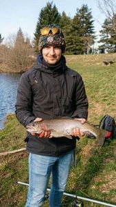 Rainbow Trout