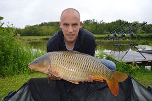 Common Carp