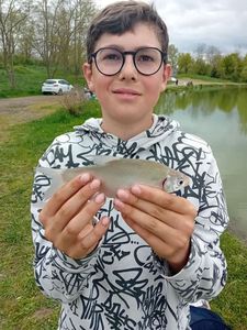 White bream