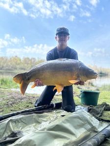 Mirror Carp