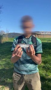 Tiger Trout