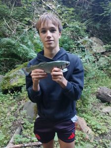 Rainbow Trout