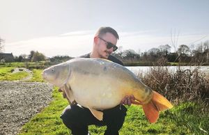 Mirror Carp