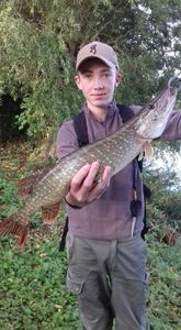 Northern Pike