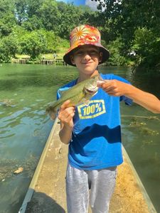 Smallmouth Bass