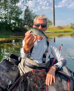 Smallmouth Bass
