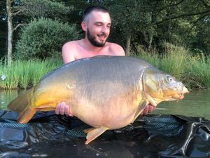 Mirror Carp