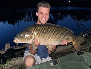 Common Carp