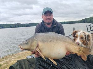 Mirror Carp