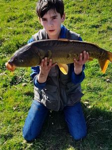 Mirror Carp