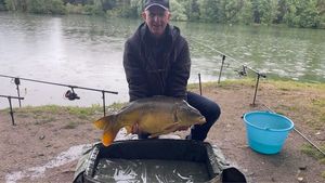 Mirror Carp