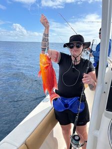 Bluespotted seabass