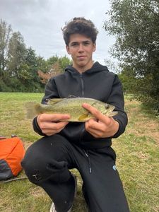 Largemouth Bass