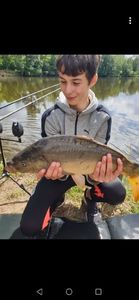 Mirror Carp