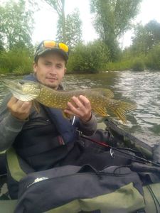 Northern Pike