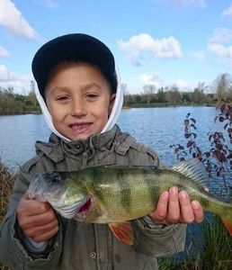 European Perch