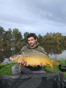 Mirror Carp