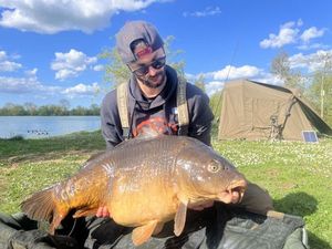 Mirror Carp