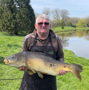 Mirror Carp