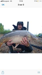 Mirror Carp