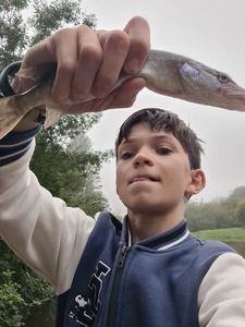 Northern Pike