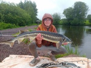 Sturgeon