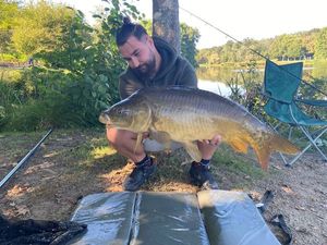 Mirror Carp