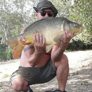 Mirror Carp