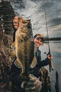 Largemouth Bass