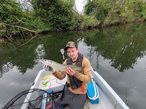 Northern Pike