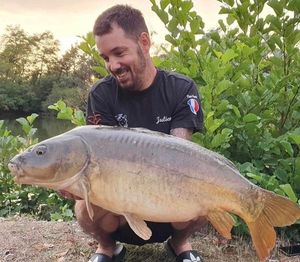 Mirror Carp