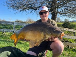 Mirror Carp