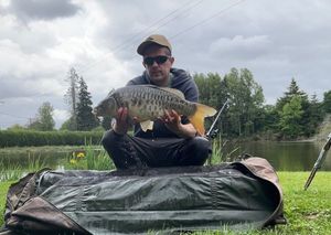 Mirror Carp