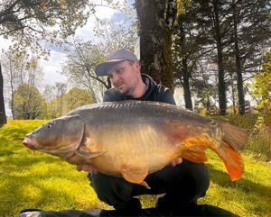 Mirror Carp