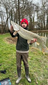 Northern Pike